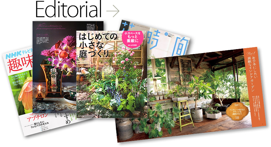 evergreen photo studio by Masamichi Takeda マガジン＆エディトリアル