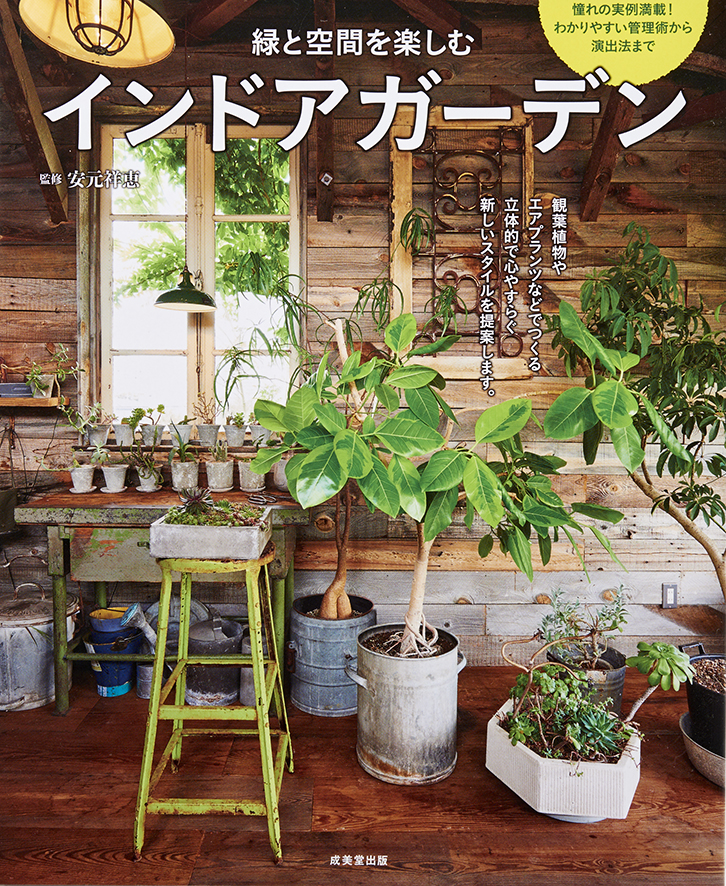 evergreen photo studio by Masamichi Takeda